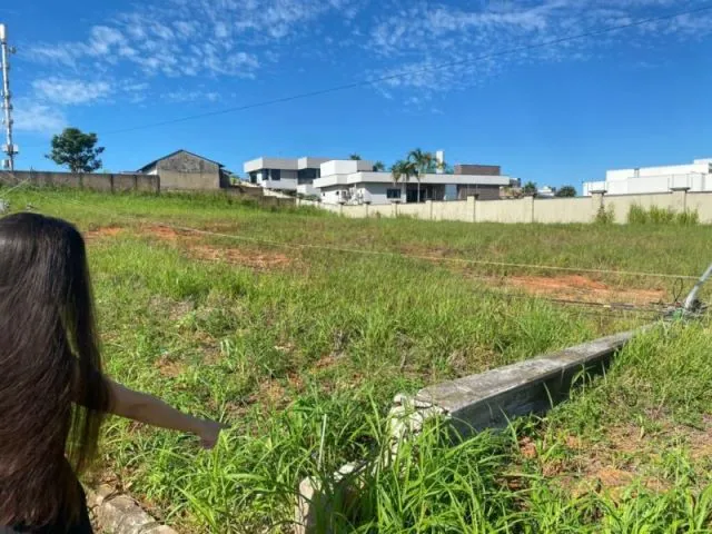 Moradores sofrem com mais de 30 horas sem energia e Equatorial não cumpre prazo