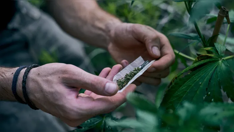 Descriminalizou, mas não legalizou: entenda a diferença