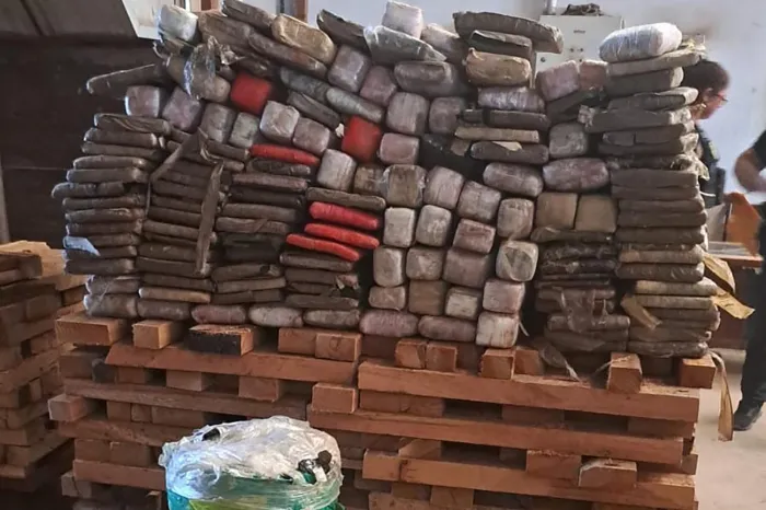 Polícia Civil incinera meia tonelada de drogas apreendidas no último sábado (3), em Santarém