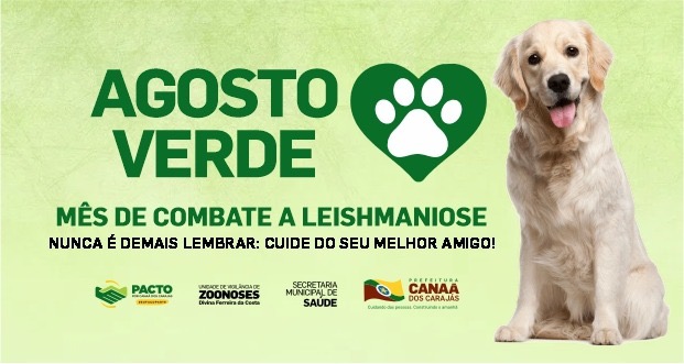 Prefeitura fará palestras e mutirões de combate à leishmaniose