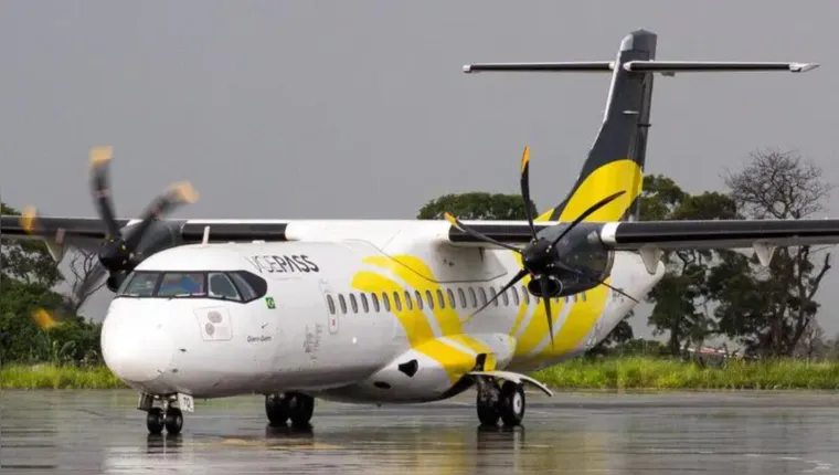 Avião que caiu em Vinhedo sofreu colisão antes de acidente