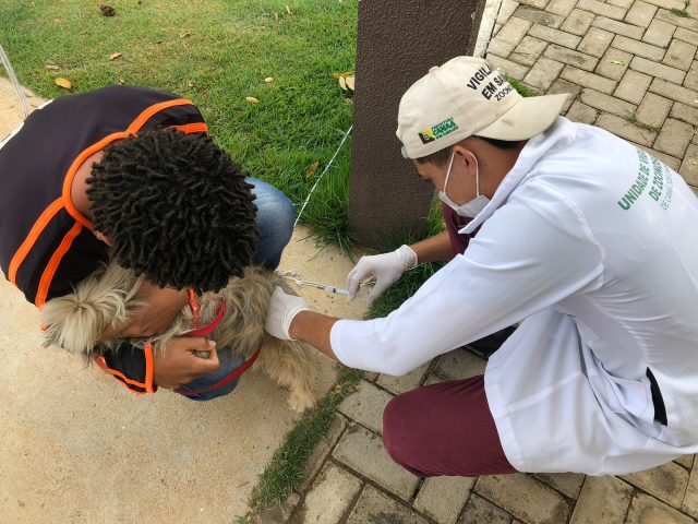 24 de setembro: Canaã realizará Dia D de vacinação contra a raiva animal 