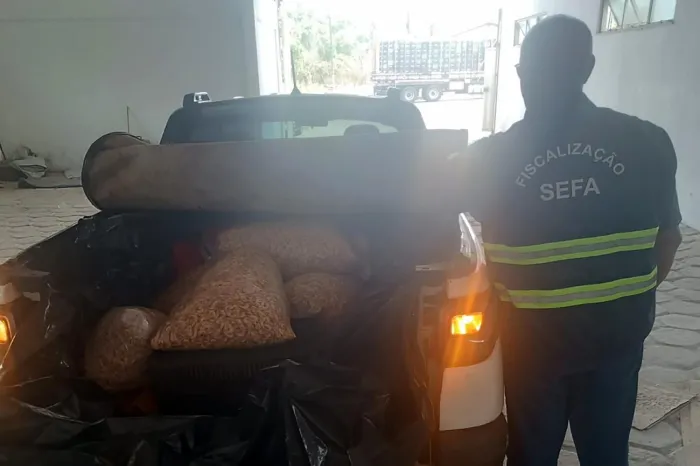 Sefa apreende 250 quilos de camarão e 50 toneladas de sementes de soja no Pará