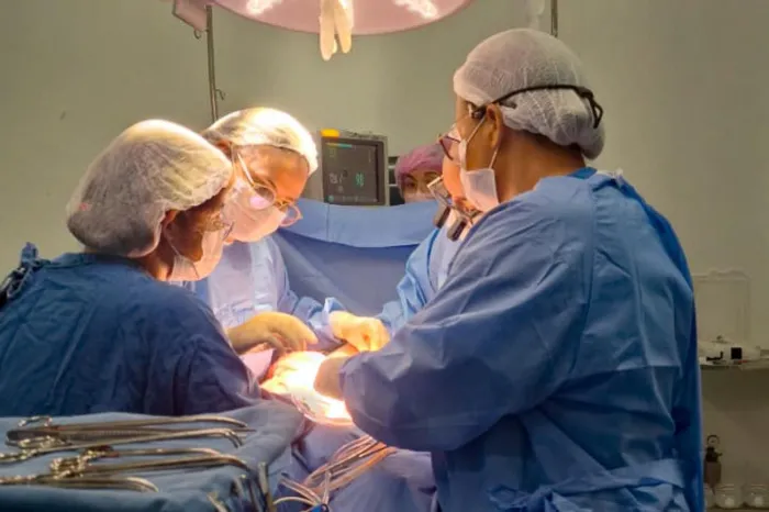 Pará registra recorde de doadores elegíveis para transplante de órgãos em 2024