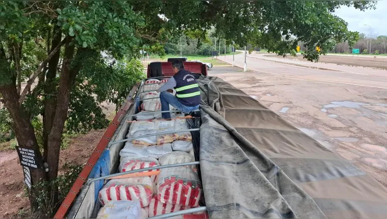 Sefa apreende 40 toneladas de farinha de trigo em Novo Progresso