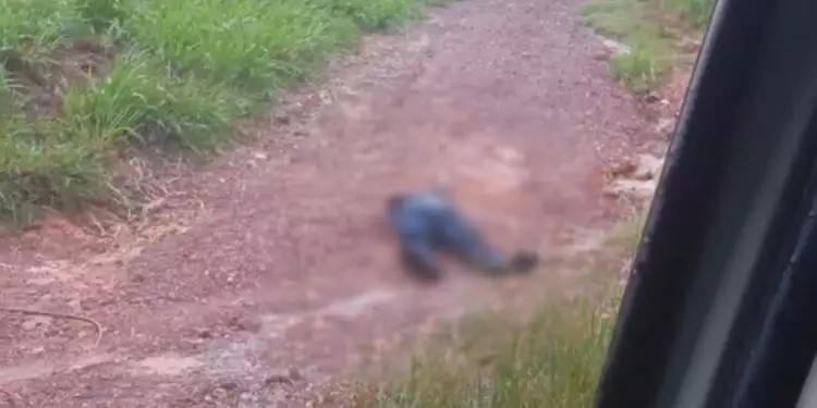 Corpo é encontrado com mãos amarradas e capuz na cabeça em São João do Araguaia