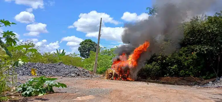 Agentes da Polícia Federal e ICMBio destroem garimpo reincidente em Canaã dos Carajás