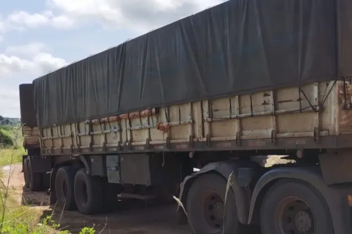 Sefa apreende 60 toneladas de madeira em Abel Figueiredo