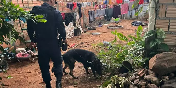 Operação mira ‘vovós do tráfico’ em Brejo Grande do Araguaia, no Pará