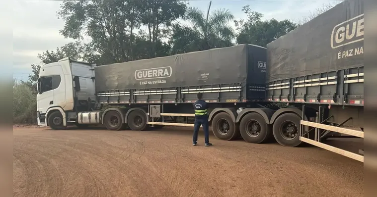 Sefa apreende mais de R$ 500 mil em soja e gado no Pará