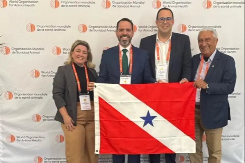 Pará recebe reconhecimento histórico de área livre de febre aftosa sem vacinação