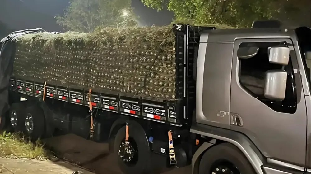 Polícias apreendem quase 500 Kg de drogas em carga de caminhão