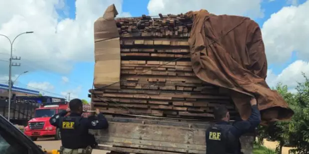 PRF apreende 20 m³ de madeira ilegal, em Novo Repartimento