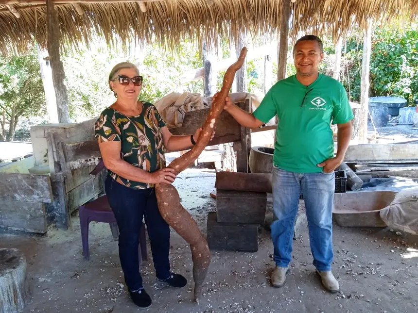 Emater realiza 3º Festival da Mandioca em São Domingos do Araguaia