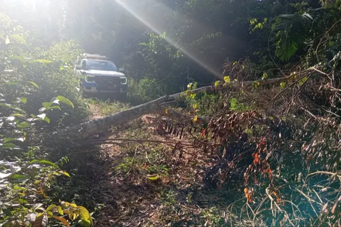 Polícia Militar integra operação contra exploração ilegal da floresta em Uruará