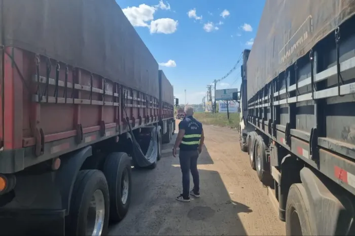 Em Marabá, Sefa apreende mais de 78 mil quilos de soja em grão