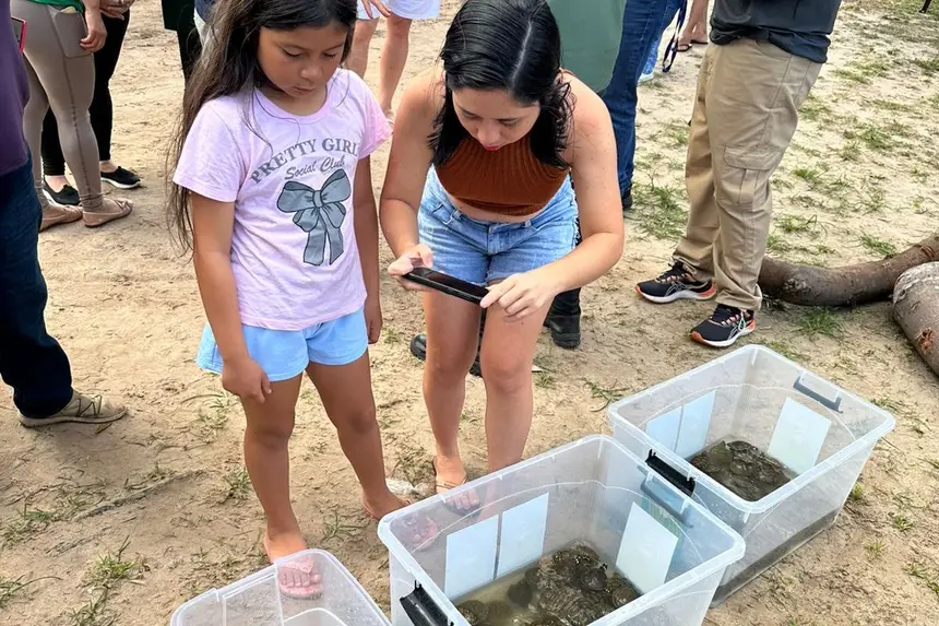 Soltura de 140 quelônios marca celebração à vida e à natureza em Salvaterra no Marajó