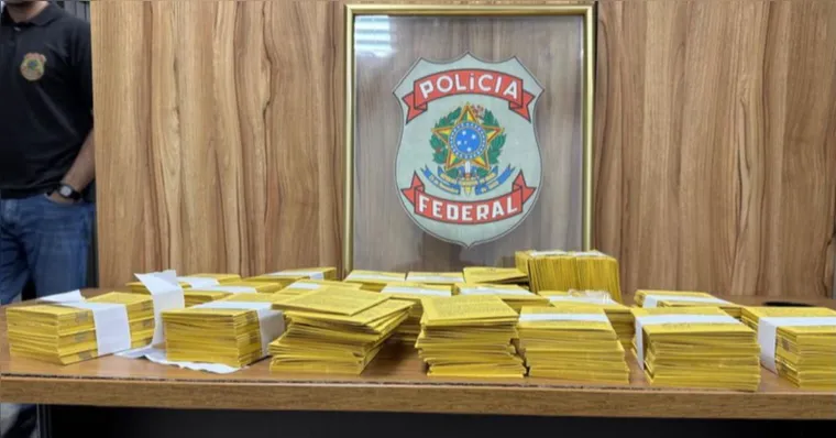 Policiais apreendem 500 carteiras de vacina falsas no Pará