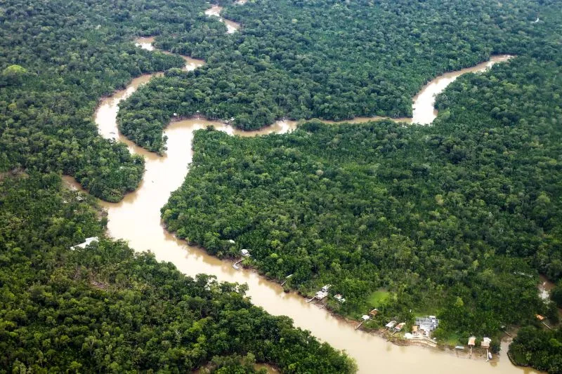 Pará registra a menor área de desmatamento da década e lidera resultados positivos na Amazônia Legal