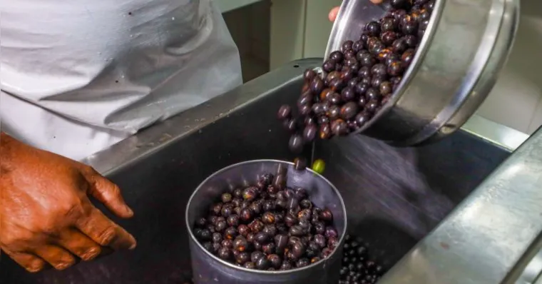 Audiência pública definirá critérios para alimentação na COP