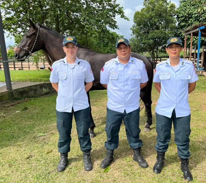 Polícia Militar celebra avanços no combate a crimes violentos contra instituições financeiras