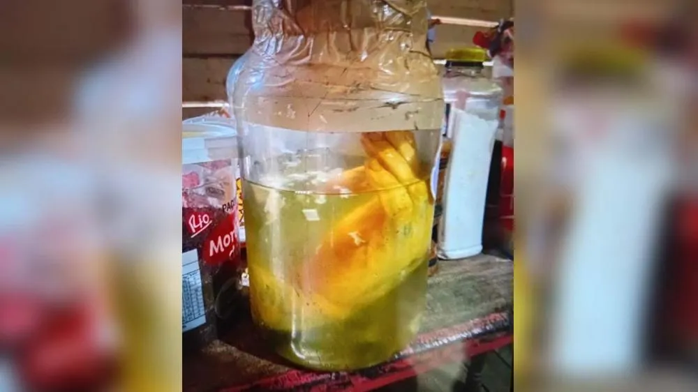 Mão humana é encontrada durante operação policial no Marajó