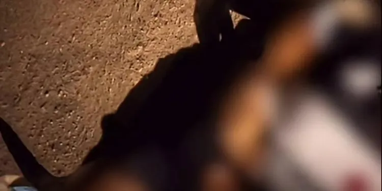 Homem é assassinado a pedradas e pauladas em Parauapebas