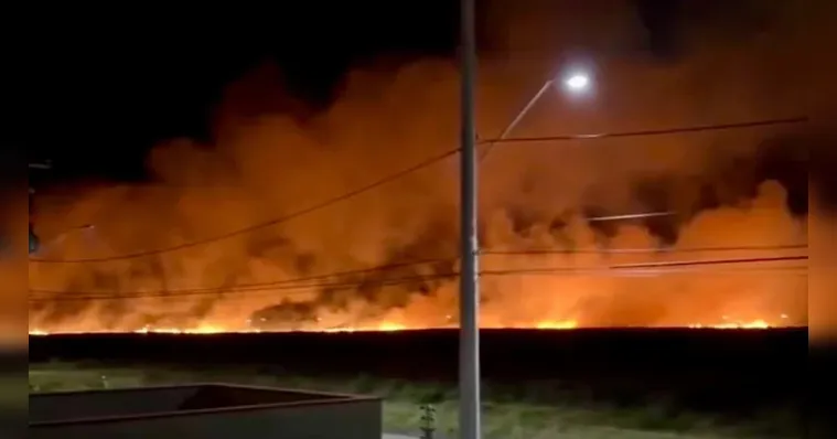 Incêndio de grandes proporções atinge vegetação no RS