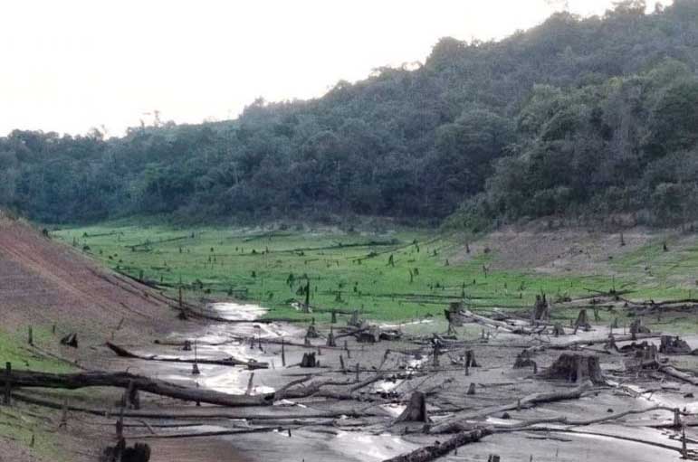 Seca atinge Lago de Tucuruí e milhares de peixes estão morrendo