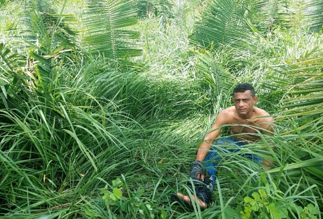 Abandono de incapaz, drogas, crime ambiental e prisão